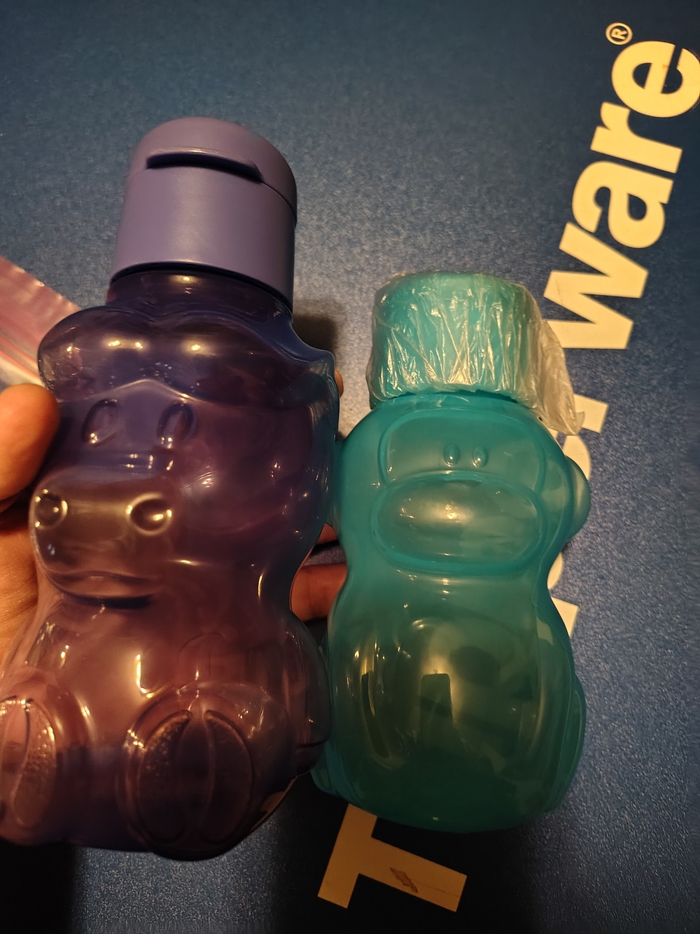 Tupperware Kids Watebottles